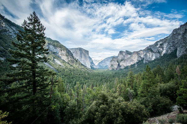 Yosemite el capitan Stock photo © weltreisendertj