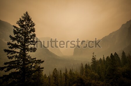 Yosemite view point dust from fire Stock photo © weltreisendertj