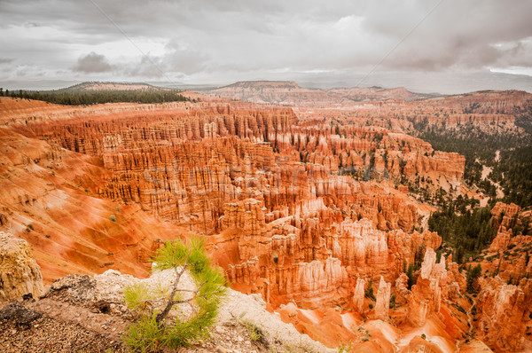 Canyon rot Amphitheater Westen USA Utah Stock foto © weltreisendertj