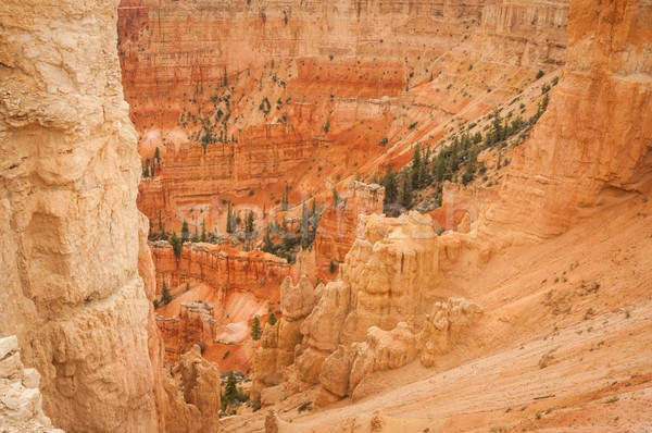 Canyon Bryce red rocks Stock photo © weltreisendertj