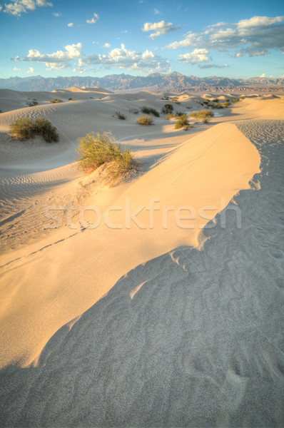 Death Valley dunes in sunset light Stock photo © weltreisendertj