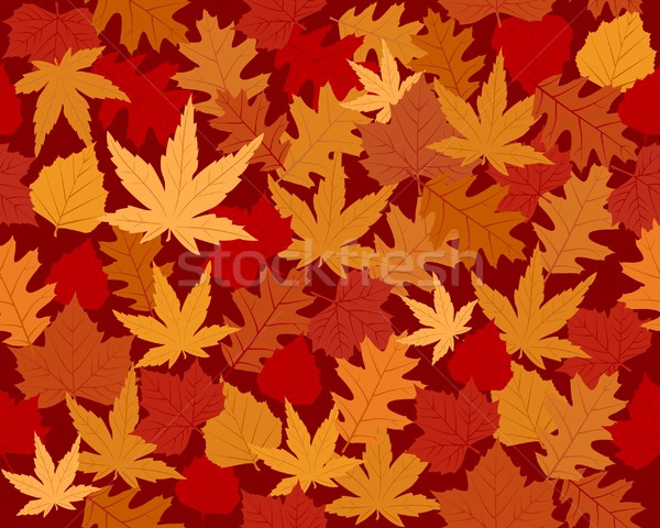  Vibrantly colored autumn leaves wallpaper Stock photo © wenani
