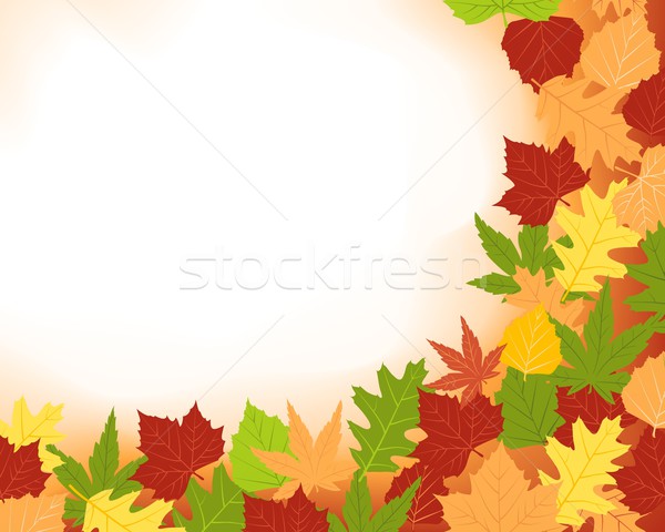 Colorfull frame of fall leaves Stock photo © wenani