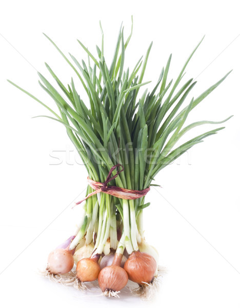 Green onion Stock photo © Wikki