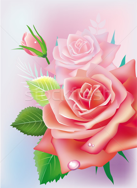 Vector illustration - greeting card with roses Stock photo © Wikki