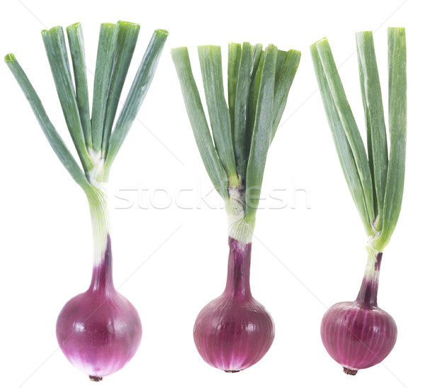 Stockfoto: Rood · uien · voedsel · groene · salade · koken