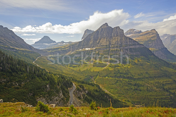 Looking to a Mountain Pass From an Alpine trail Stock photo © wildnerdpix