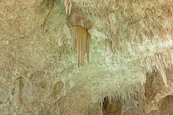 Waterfall Stalactite and other formations in a cave Stock photo © wildnerdpix