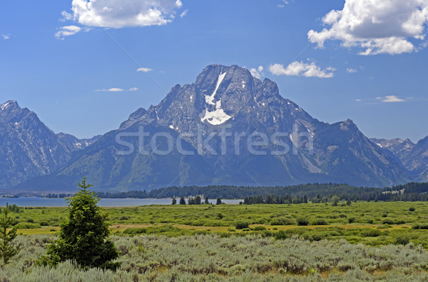 Dramatic Peak on a Summer Day Stock photo © wildnerdpix