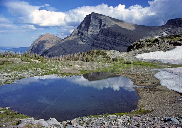 A mountain pass in the summer Stock photo © wildnerdpix