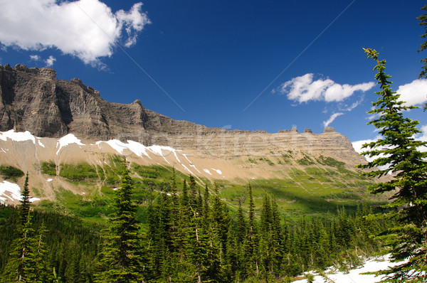 Mountain ridge with summer snow Stock photo © wildnerdpix