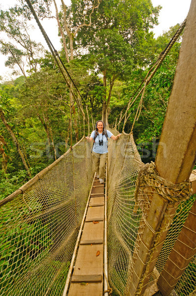 Hiker on tree Canopy walkway above the rain forest Stock photo © wildnerdpix