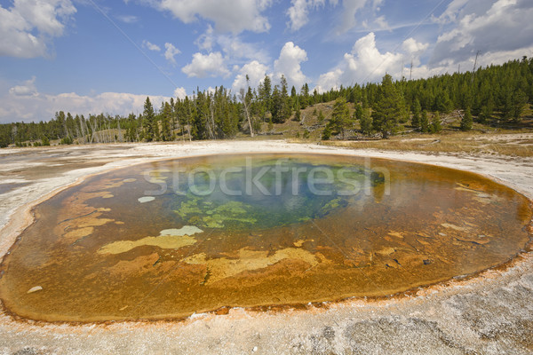 Coloré source chaude piscine geyser distant joli [[stock_photo]] © wildnerdpix