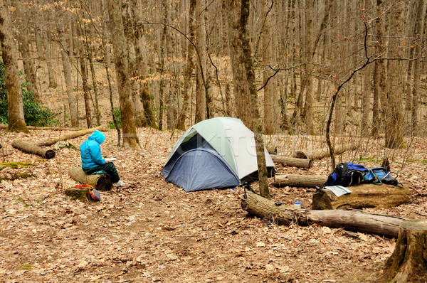 Remote camp in the Wilds Stock photo © wildnerdpix