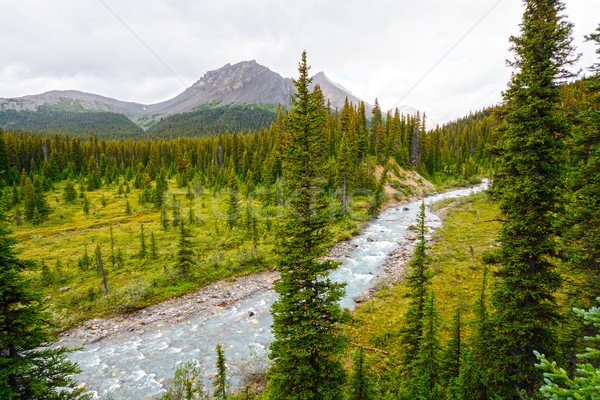 Alpine River on a Cloudy Day Stock photo © wildnerdpix