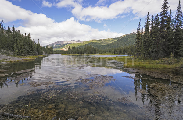 Quiet Lake in the Wilderness Stock photo © wildnerdpix