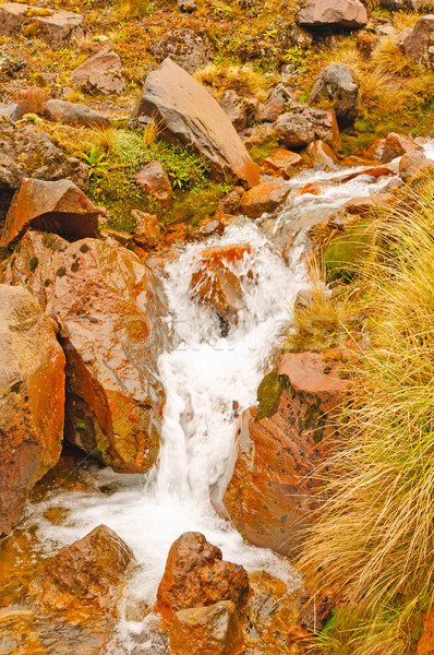 Mały strumienia wulkaniczny górskich wody dość Zdjęcia stock © wildnerdpix