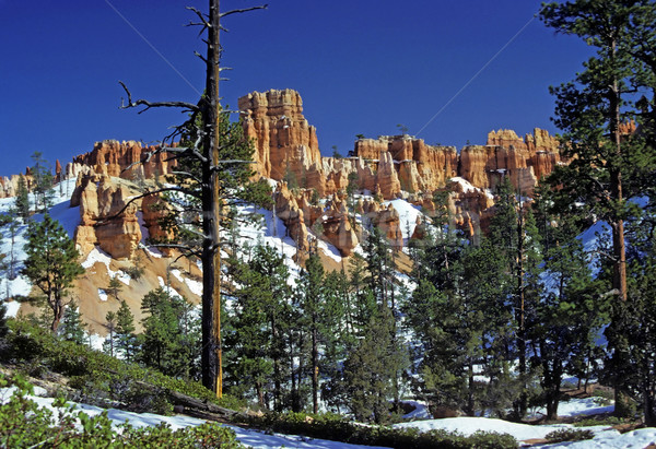 Stock photo: Red rocks in spring snow