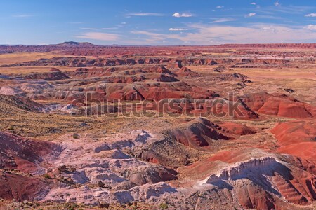 Red Desert Panorama on a Cloudy Day Stock photo © wildnerdpix