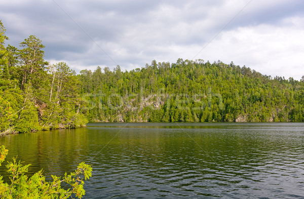 Vadon tó nyár nap természet tájkép Stock fotó © wildnerdpix