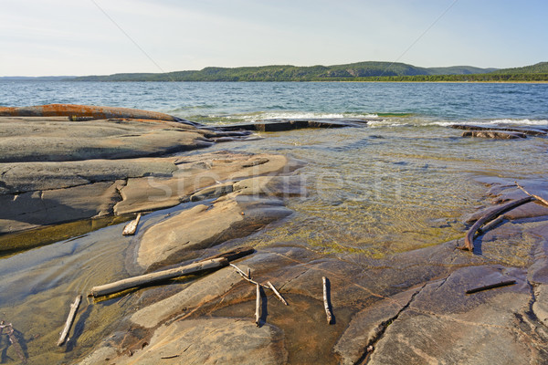 Dalgaların karaya attığı odun kayalar uzak kıyı park ontario Stok fotoğraf © wildnerdpix