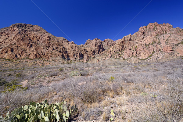 Stock photo: Desert Panorama in the Early Spring