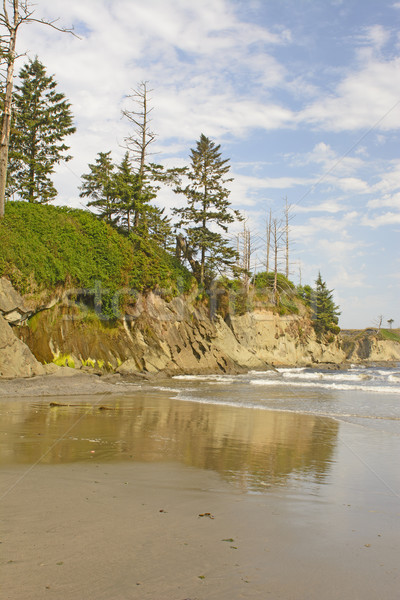 Rugged Cliffs on a Sunny Day Stock photo © wildnerdpix