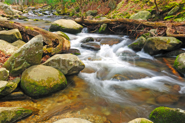 Stream in the wilderness Stock photo © wildnerdpix