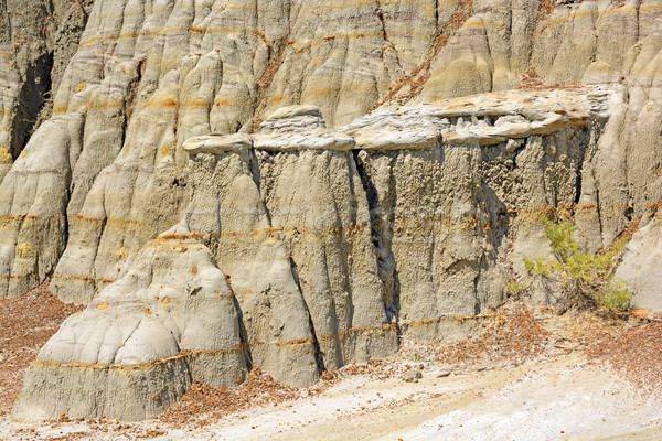 Eroded Rock in the Badlands Stock photo © wildnerdpix