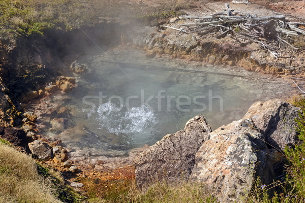 água piscina pintar bastante naturalismo Wyoming Foto stock © wildnerdpix