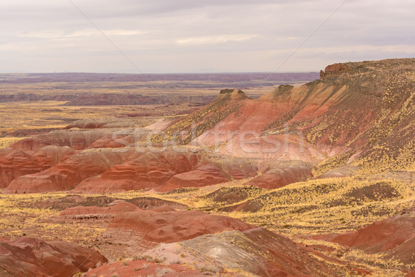 Red Desert on a Cloudy Day Stock photo © wildnerdpix
