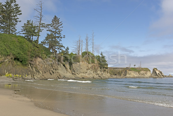 Stock foto: Robust · Strand · Leuchtturm · Oregon