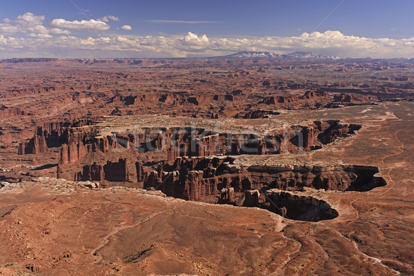 Eroded Canyons in the American West Stock photo © wildnerdpix