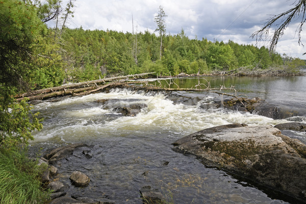 Wilderness Falls in the North Woods Stock photo © wildnerdpix