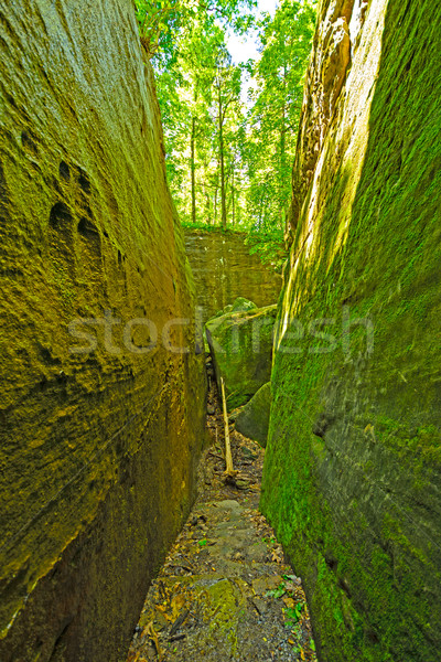 Mossy trail through a natural rock ravine Stock photo © wildnerdpix
