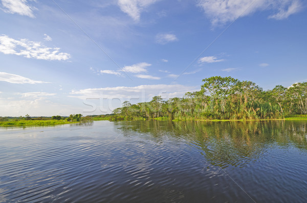 Stock photo: Sunny day on a Blackwater River