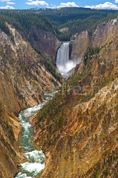 Colorido río canón sol parque Wyoming Foto stock © wildnerdpix