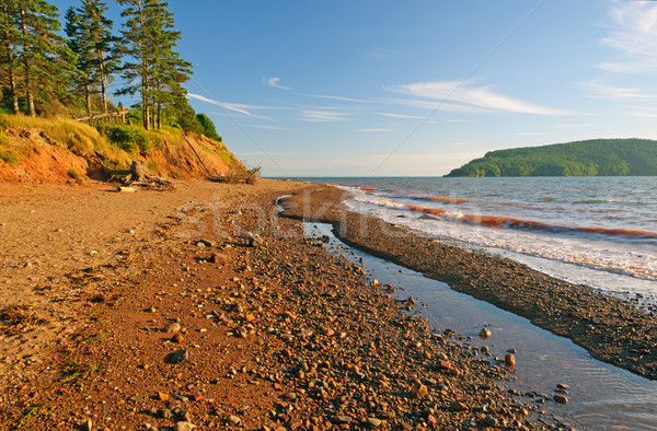 Rocky Beach in Early Evening Stock photo © wildnerdpix