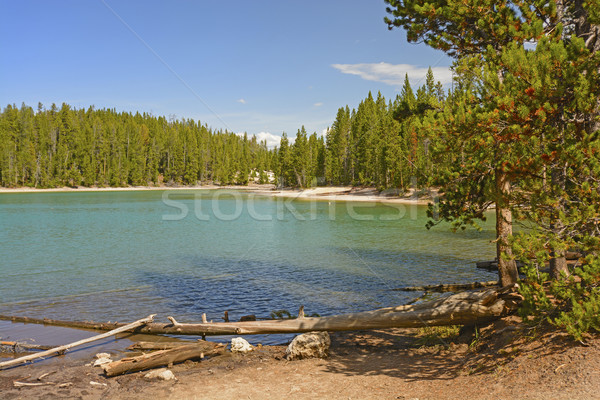 Beautiful Lake on a Calm Day Stock photo © wildnerdpix