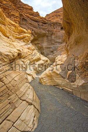 Stock photo: Travertine and petrified trees in Yellowstone