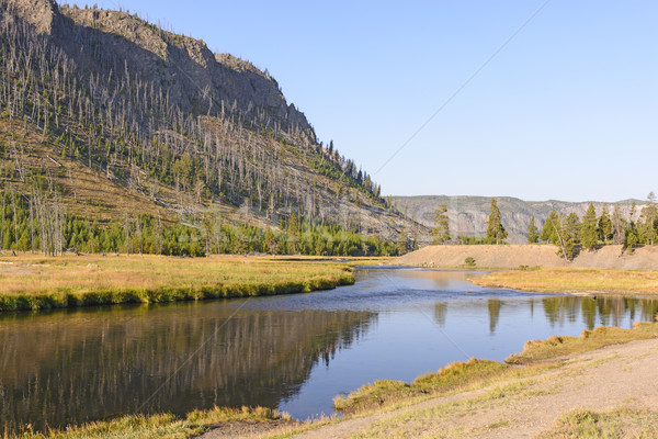 Tôt le matin ouest rivière vallée nature paysage [[stock_photo]] © wildnerdpix