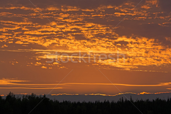 Stock photo: Red Skies in the Late Evening