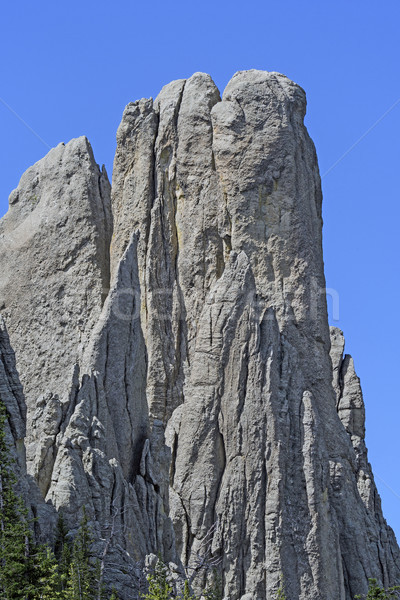 Espectacular montanas agujas negro colinas parque Foto stock © wildnerdpix
