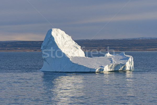 Distinctive Iceberg off a Remote Coast Stock photo © wildnerdpix