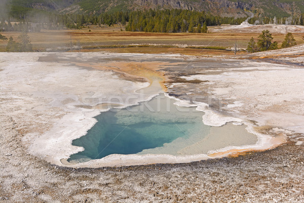 Farbenreich Frühling Geysir Ohr Wasser Pool Stock foto © wildnerdpix