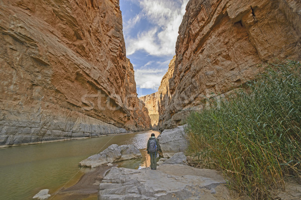 Enjoying the View of Desert Canyon Stock photo © wildnerdpix