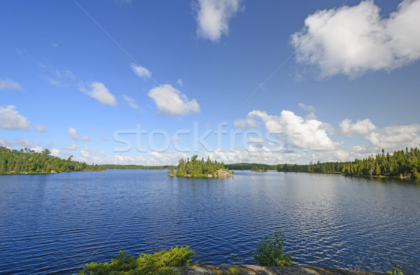 De manhã cedo norte mata lago água natureza Foto stock © wildnerdpix