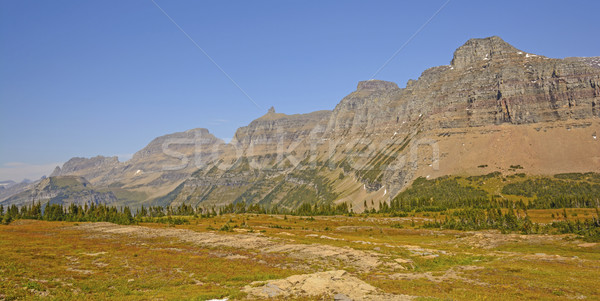 Panoramic Ridge in the American West Stock photo © wildnerdpix