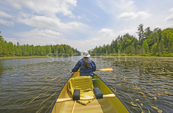 Canoer on a North Woods Lake Stock photo © wildnerdpix