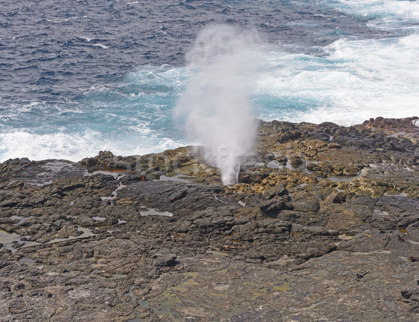Blowhole on a remote Island Stock photo © wildnerdpix